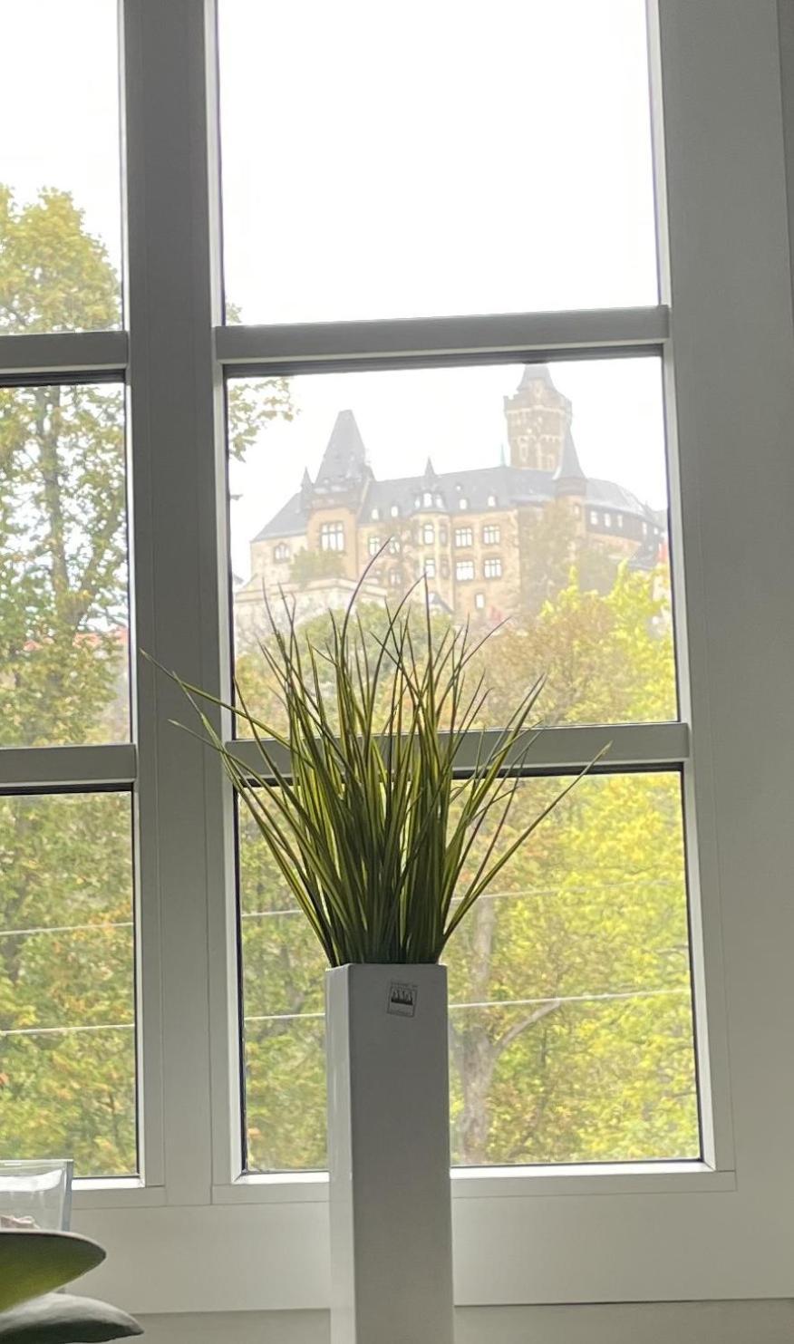 דירות ורניגרוד Haus Kreuzberg Mit Schlossblick מראה חיצוני תמונה